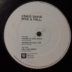 Rise & Fall - Craig David / MJ Cole