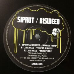 Ruined Town - Siprut / Bisweed