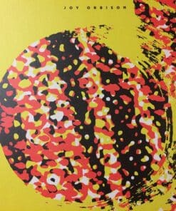 Selectors 004 - Joy Orbison 2x12"