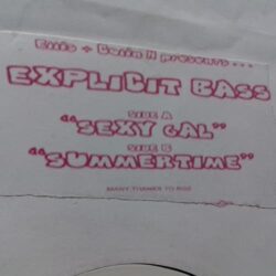 Sexy Gal / Summertime - Ellis & Colin H