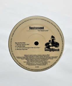 We Need Love - Testament