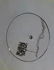 Short Circuit - 501