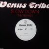 Slow Down - Venus Tribe / Bigshot