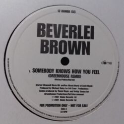 Somebody Knows How You Feel - Beverlei Brown