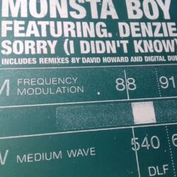 Sorry (I Didnt Know) - Monsta Boy