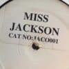 Sorry Miss Jackson - Outkast