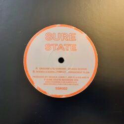 Wicked System & Omniscient Flow - Organik