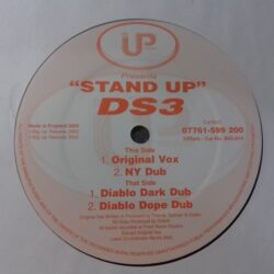 Stand Up - DS3