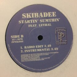 Startin Sumthin - Skibadee