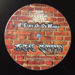 Man Ah Lion / State Of Da World - Don Cotti