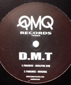 Paradise / That Look - DMT
