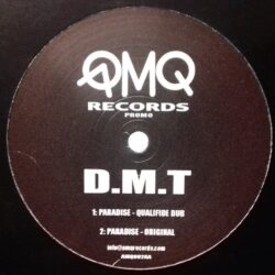 Paradise / That Look - DMT