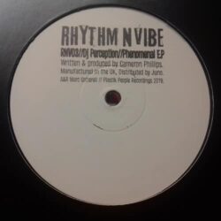 Phenomenal EP - DJ Perception
