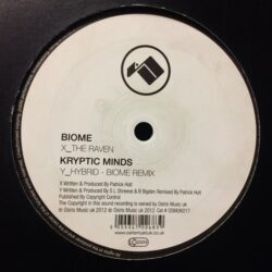 The Raven / Hybrid - Biome / Kryptic Minds