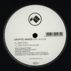 Time Flies - Kryptic Minds