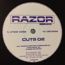 Upside Down / Dreaming - Love Dove Jay