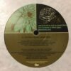 Wanderlust - Joi Cardwell & Steal Vybe