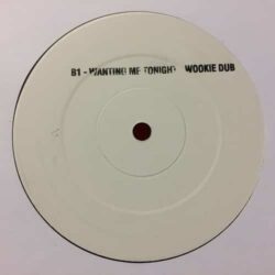 Wanting Me Tonight -  Liberty X / Wookie