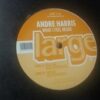 What I Feel Inside - Andre Harris