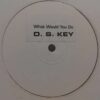 What Would You Do - D.S. Key