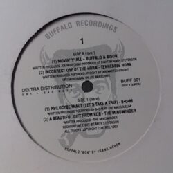 Four Track EP - Buffalo & Bison