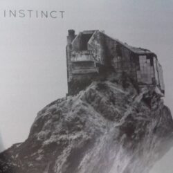 Still Life - Instinct 2x12"