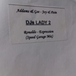 DJs Lady 2 - Addams & Gee / Ronaldo