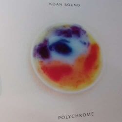 Polychrome - KOAN Sound 2x12"