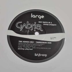 Gabriel - Roy Davis Jr. *REPRESS*