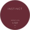 Instinct 11 - Apache / Ignite