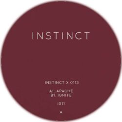 Instinct 11 - Apache / Ignite