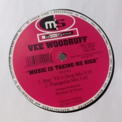 Music Is Taking Me High - Vee Woodruff