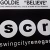 Believe - Goldie / Bump & Flex / MJ Cole