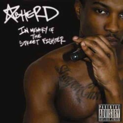 In Memory Of The Street Fighter - Asher D - CD