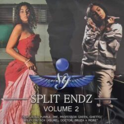 Split Endz Volume 2 - NY - CD