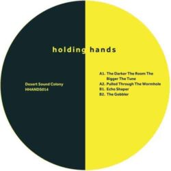 Pulled Through The Wormhole EP - Desert Sound Colony