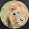 KROTONE003 - Dominant Dub / Natural Selection