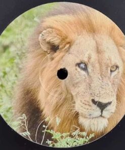 KROTONE003 - Dominant Dub / Natural Selection