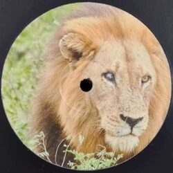 KROTONE003 - Dominant Dub / Natural Selection
