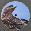 KROTONE004 - Deal With It / Storm Cloud