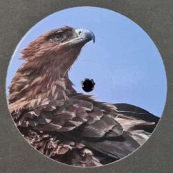KROTONE004 - Deal With It / Storm Cloud