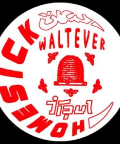 Homesick - Walt Ever