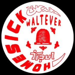 Homesick - Walt Ever