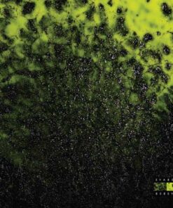 Sultry Venom - EVA808 - 3x12"