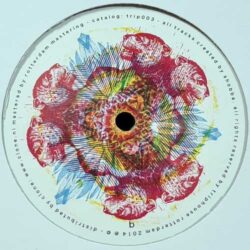 Cosmic Jungle - Shobba