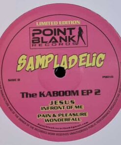 The Kaboom EP 2 - Sampladelic