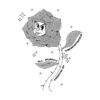 Time Is Now White Vol​.​4 - Ell Murphy