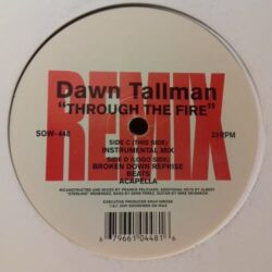 Through The Fire - Dawn Tallman 2x12"