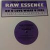 Do U Love What U Feel (Remixes) - Raw Essence
