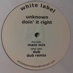 Doin' It Right - Unknown Artist